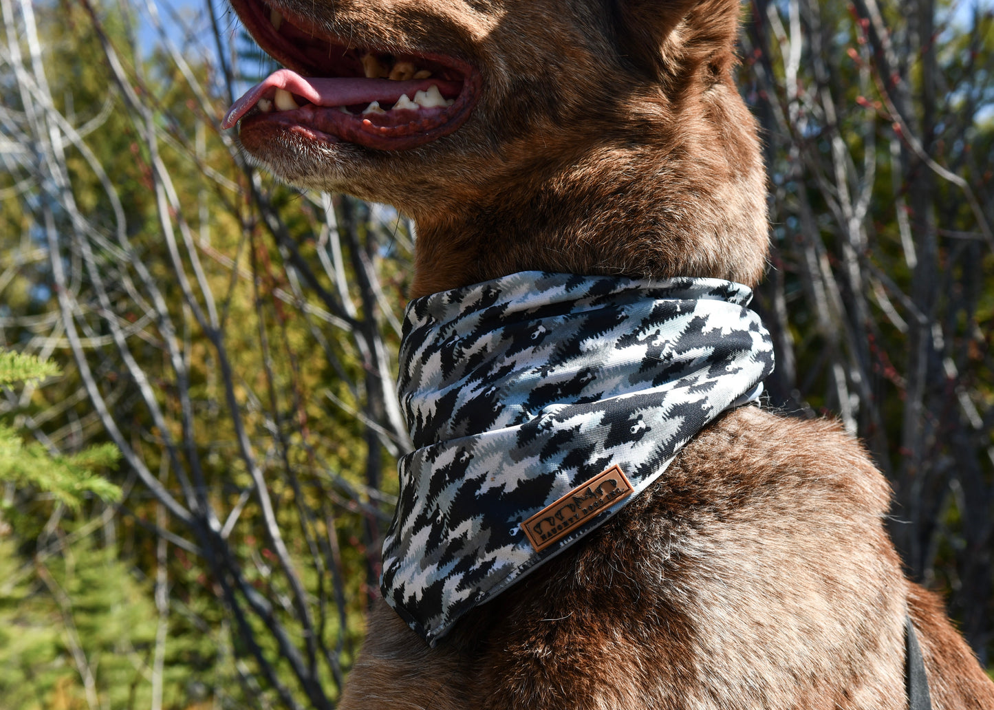 Pee-A-Boo Bears Bandana