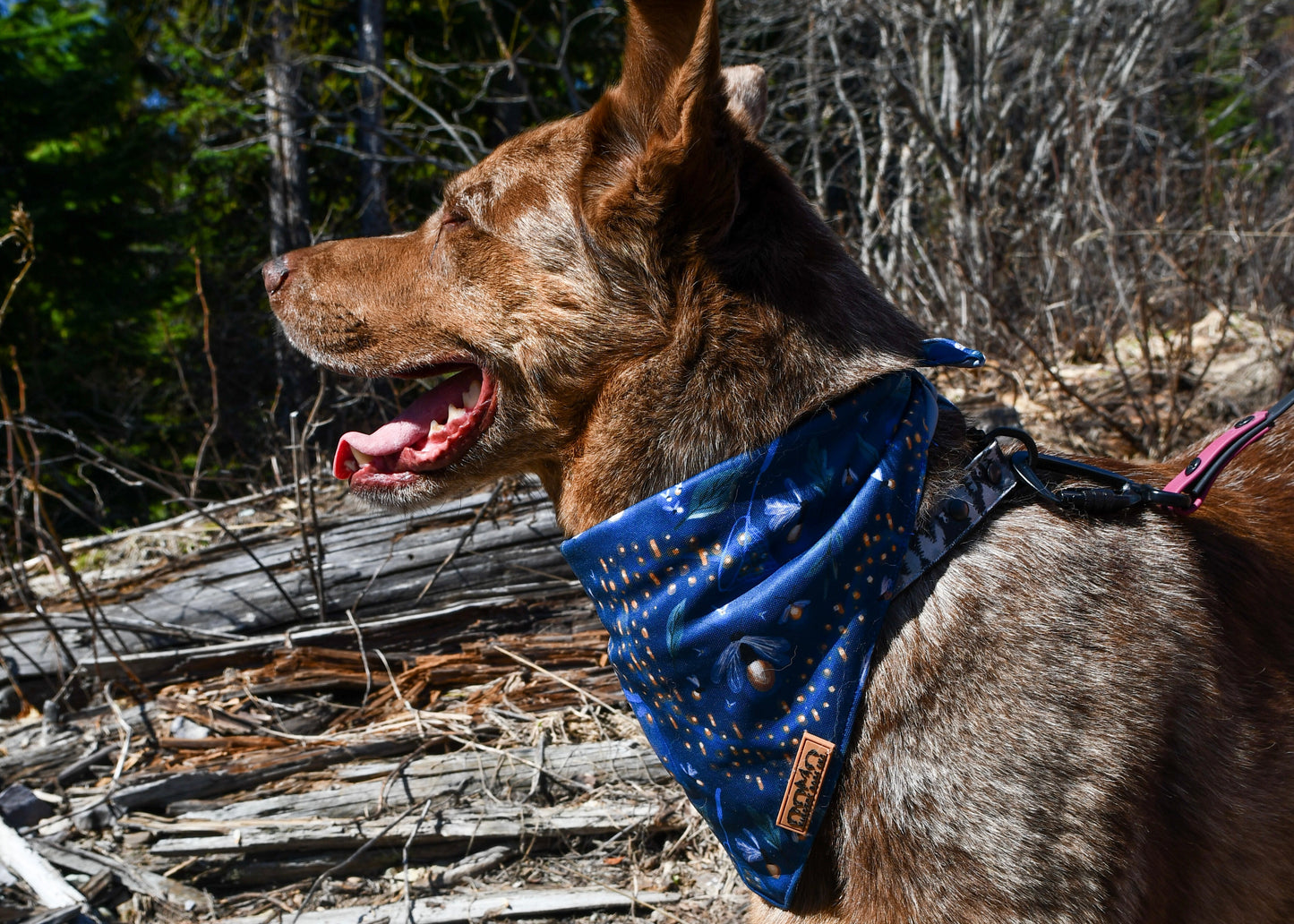 Fireflies Bandana