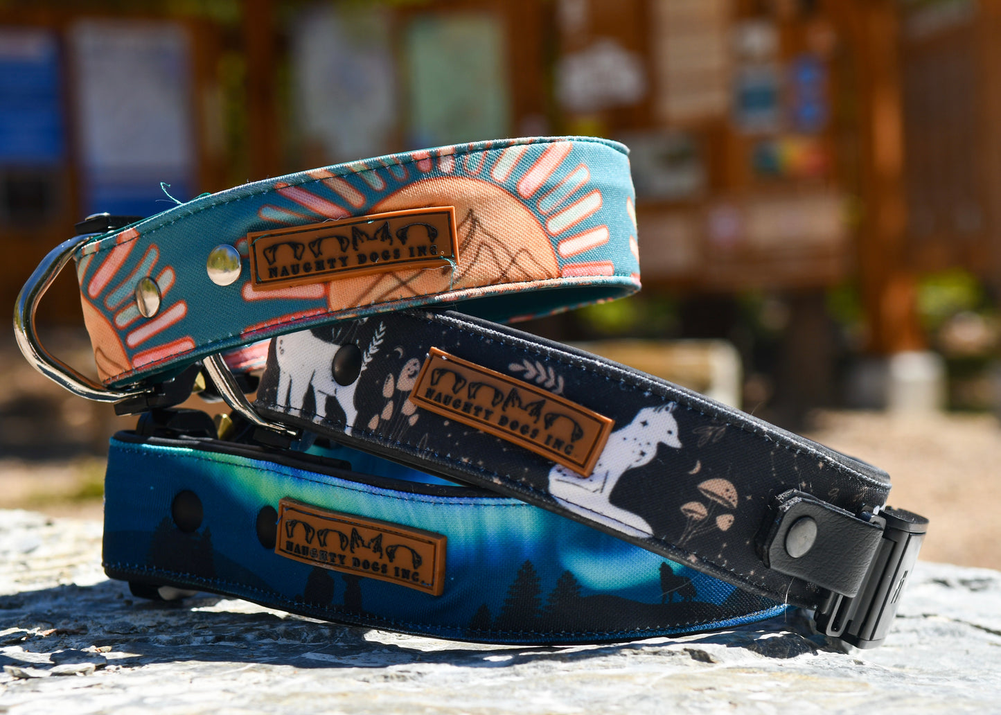 Camping Under Aurora Dog Collar