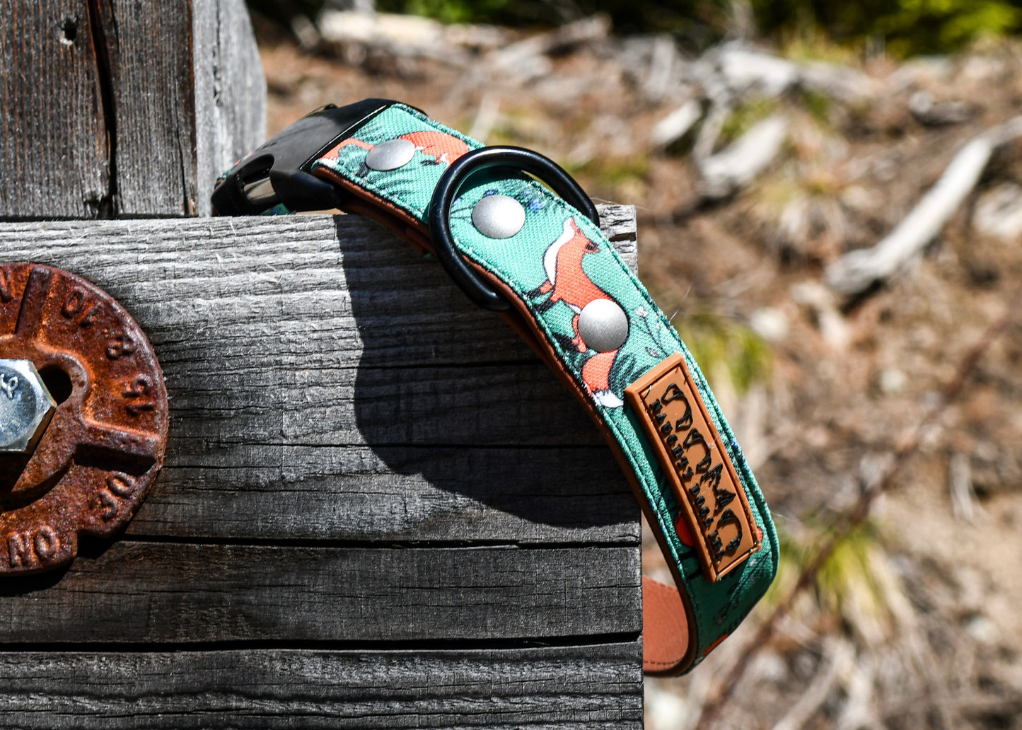 Spring Foxes Dog Collar