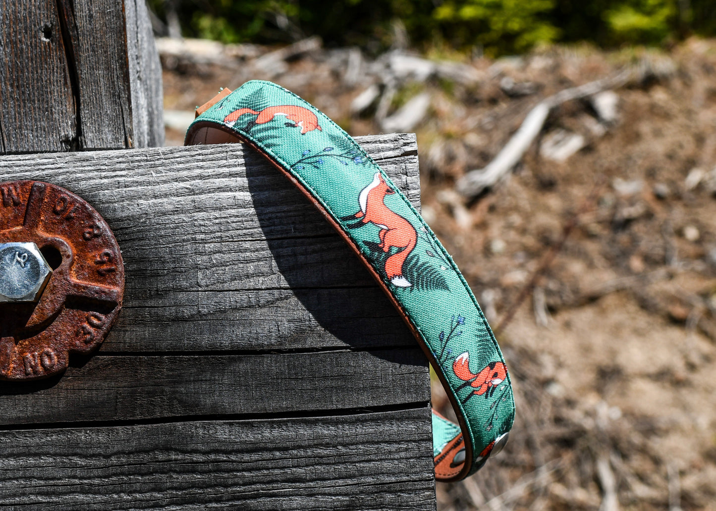 Spring Foxes Dog Collar