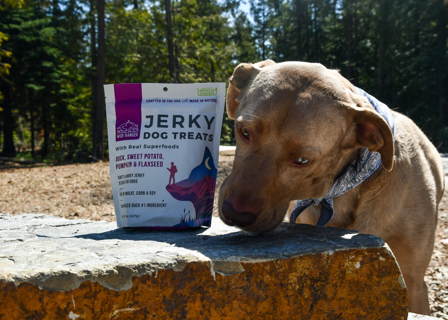 Wild Ranger Superfoods Dog Treats