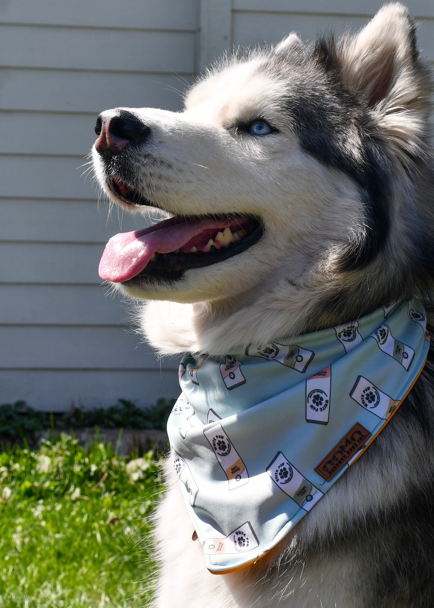 WhitePaws Bandana