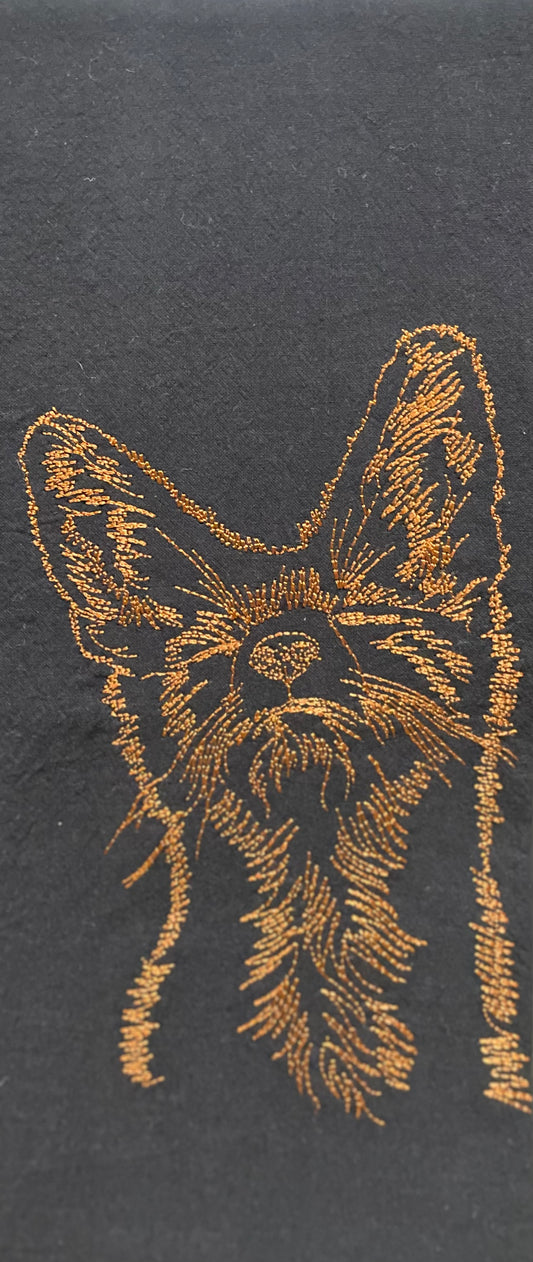 Cute fox