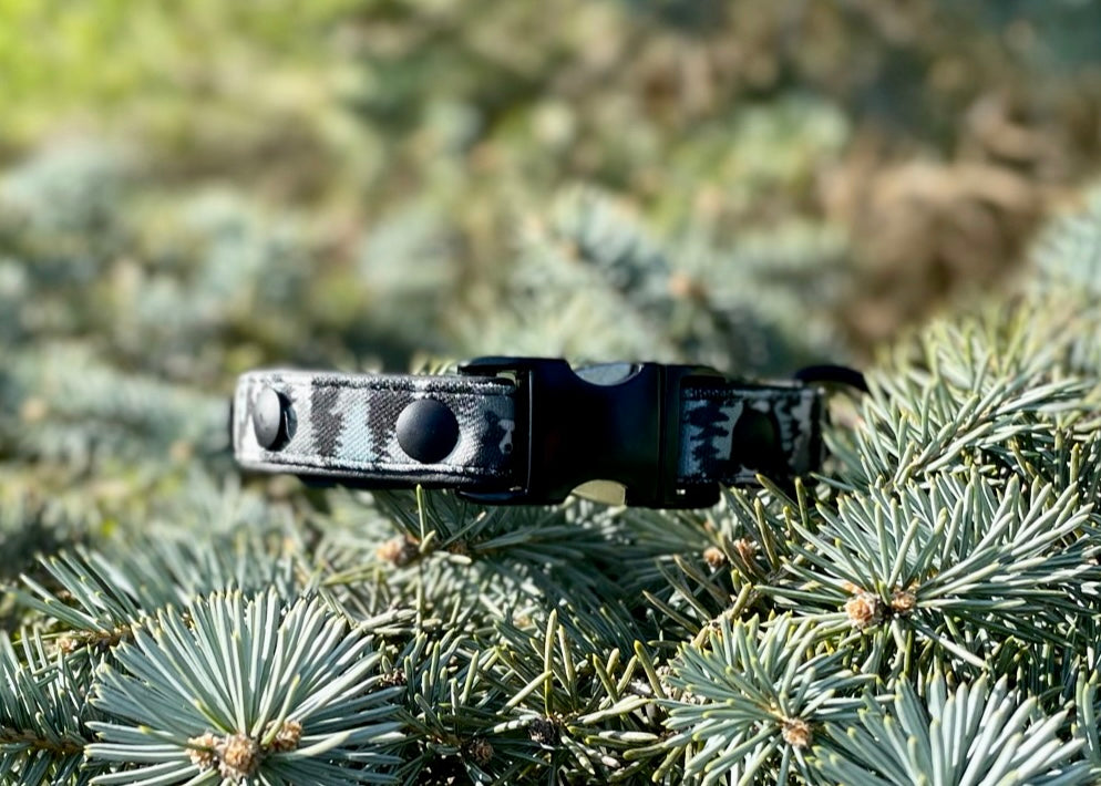 Peek-A-Boo Bears Dog Collar
