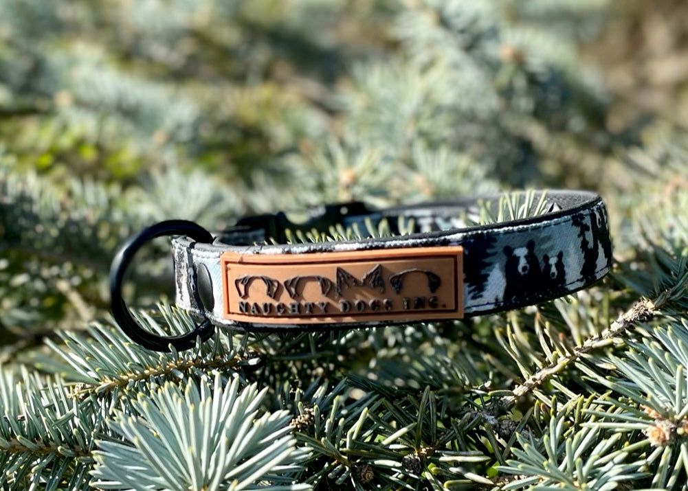 Peek-A-Boo Bears Dog Collar