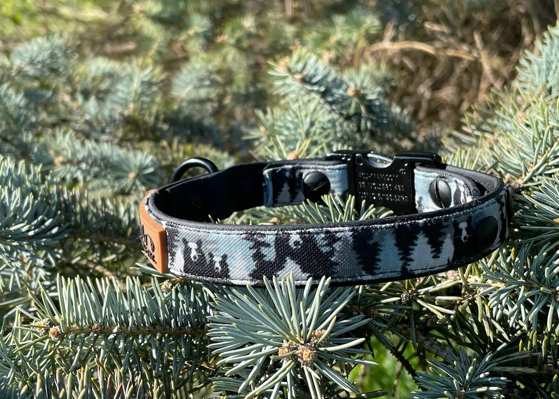 Peek-A-Boo Bears Dog Collar