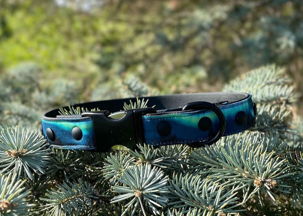 Camping Under Aurora Dog Collar