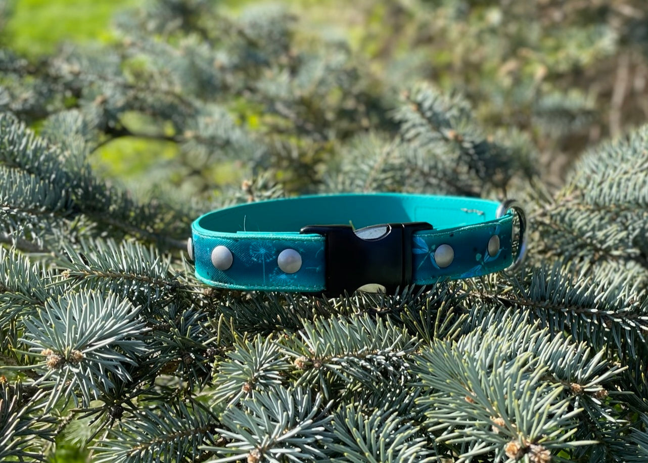 Dragonflies Dog Collar