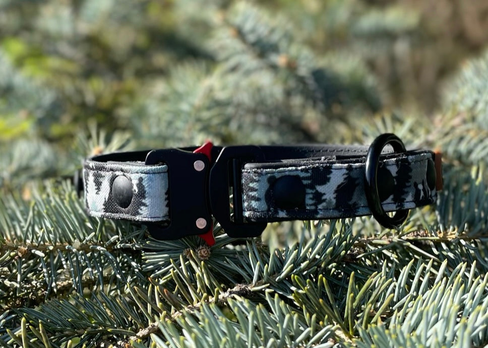 Peek-A-Boo Bears Dog Collar