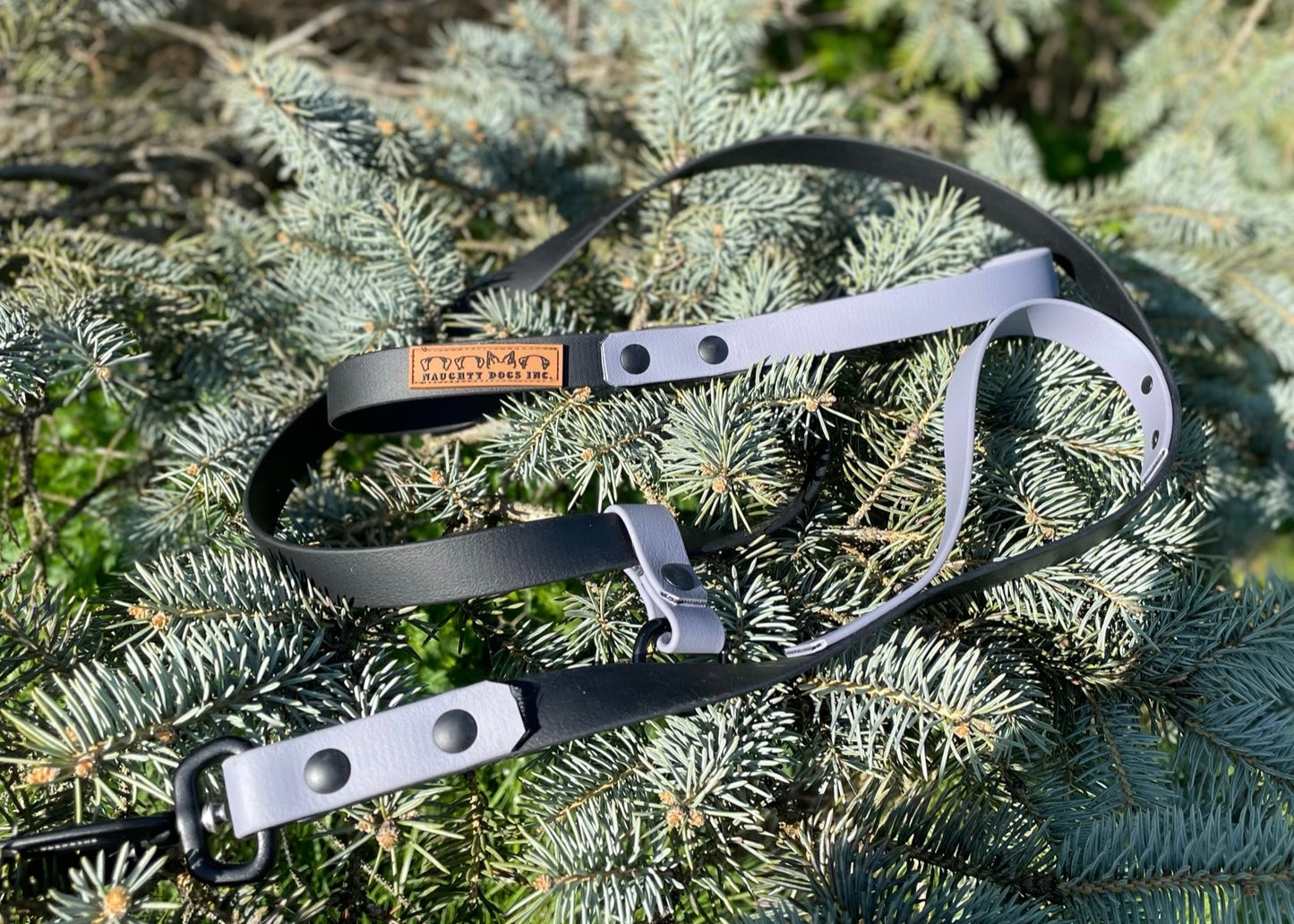 Hands-Free Leash