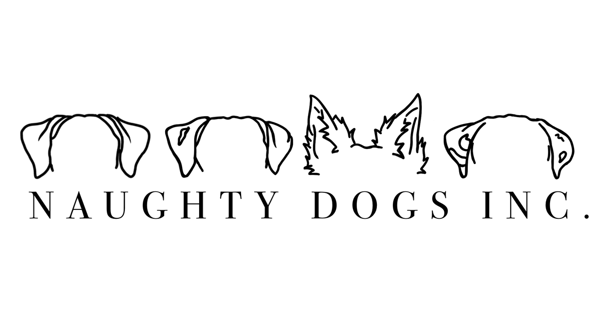 Naughty Dog (@naughty_dog_inc) • Instagram photos and videos