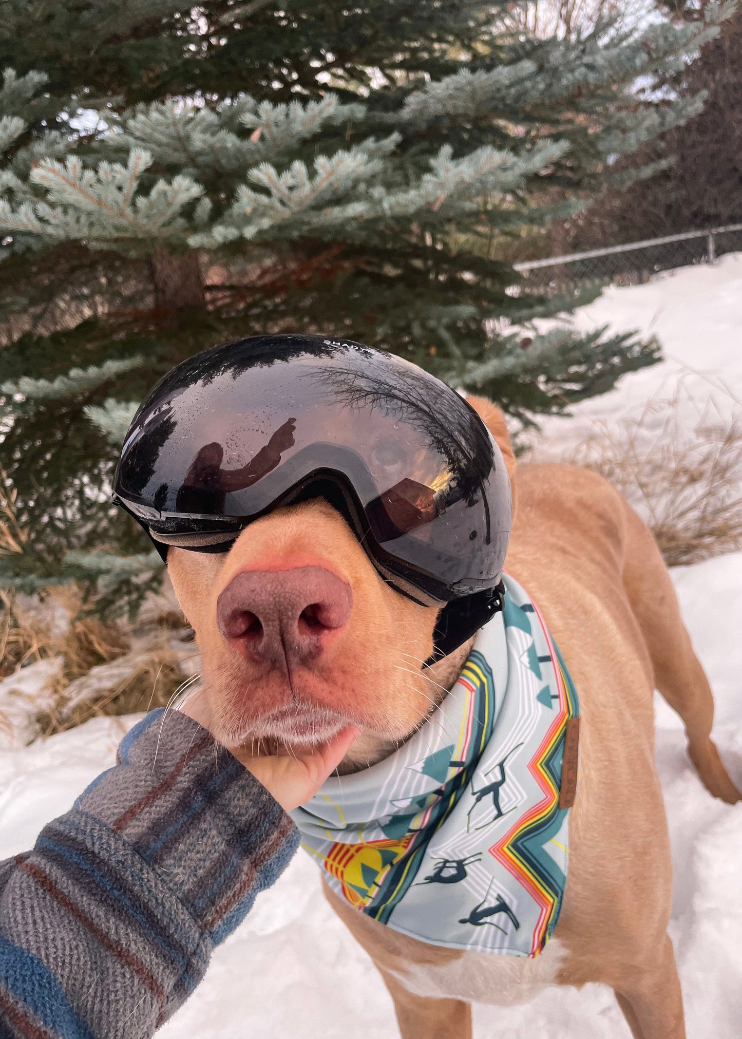 Stoked Ski Man Bandana