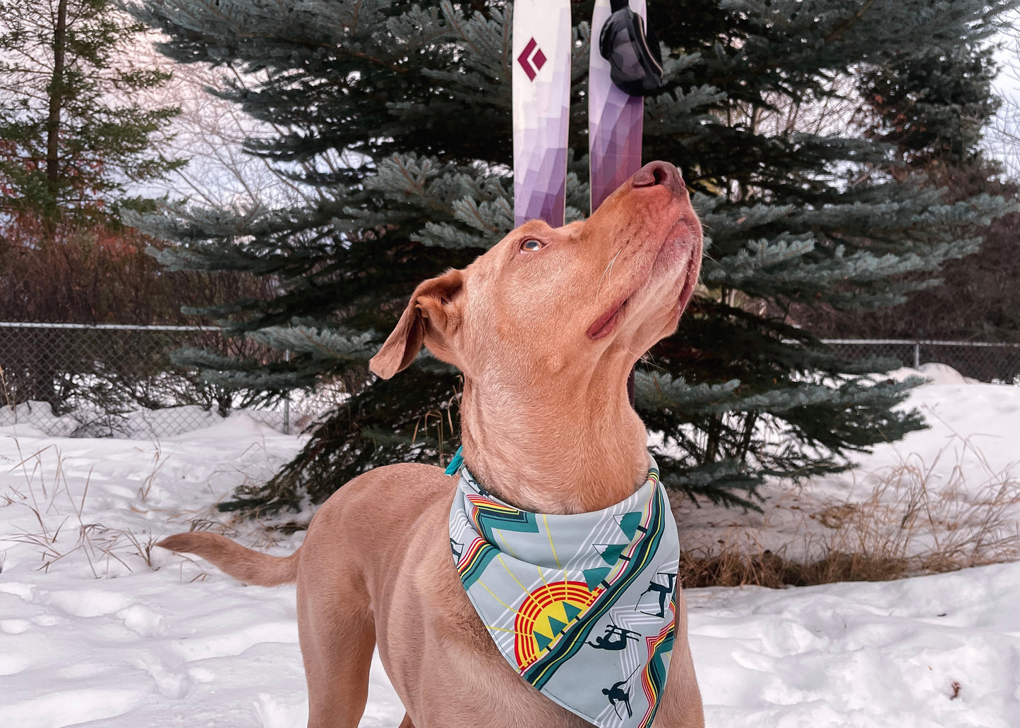 Stoked Ski Man Bandana