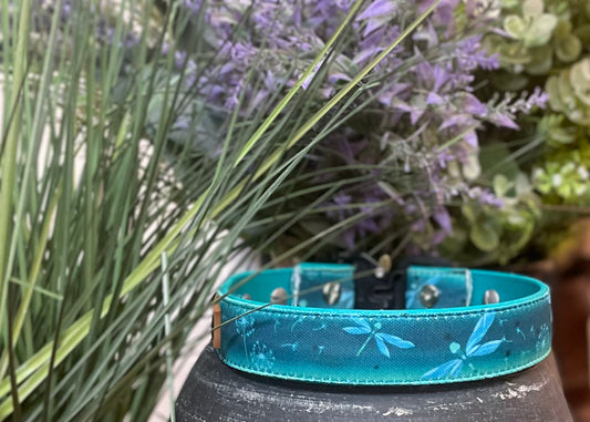 Dragonflies Dog Collar