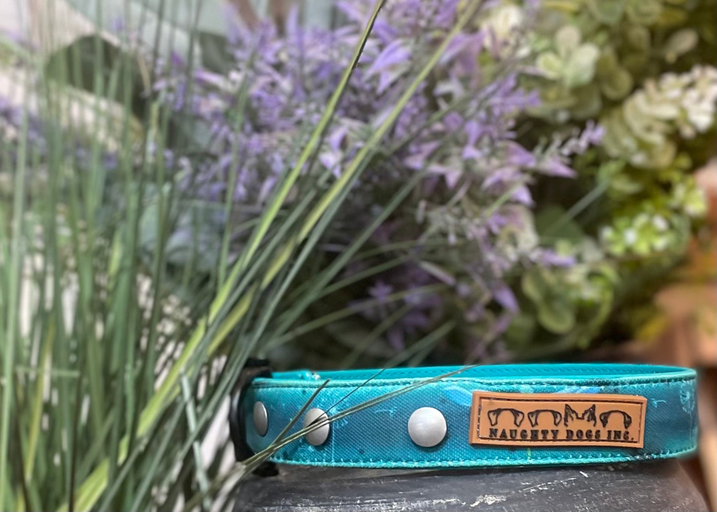 Dragonflies Dog Collar