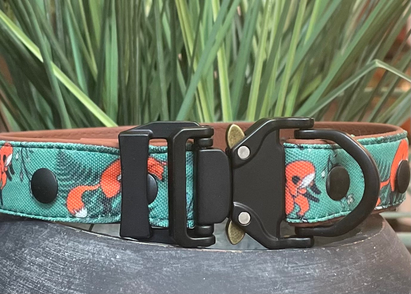 Spring Foxes Dog Collar