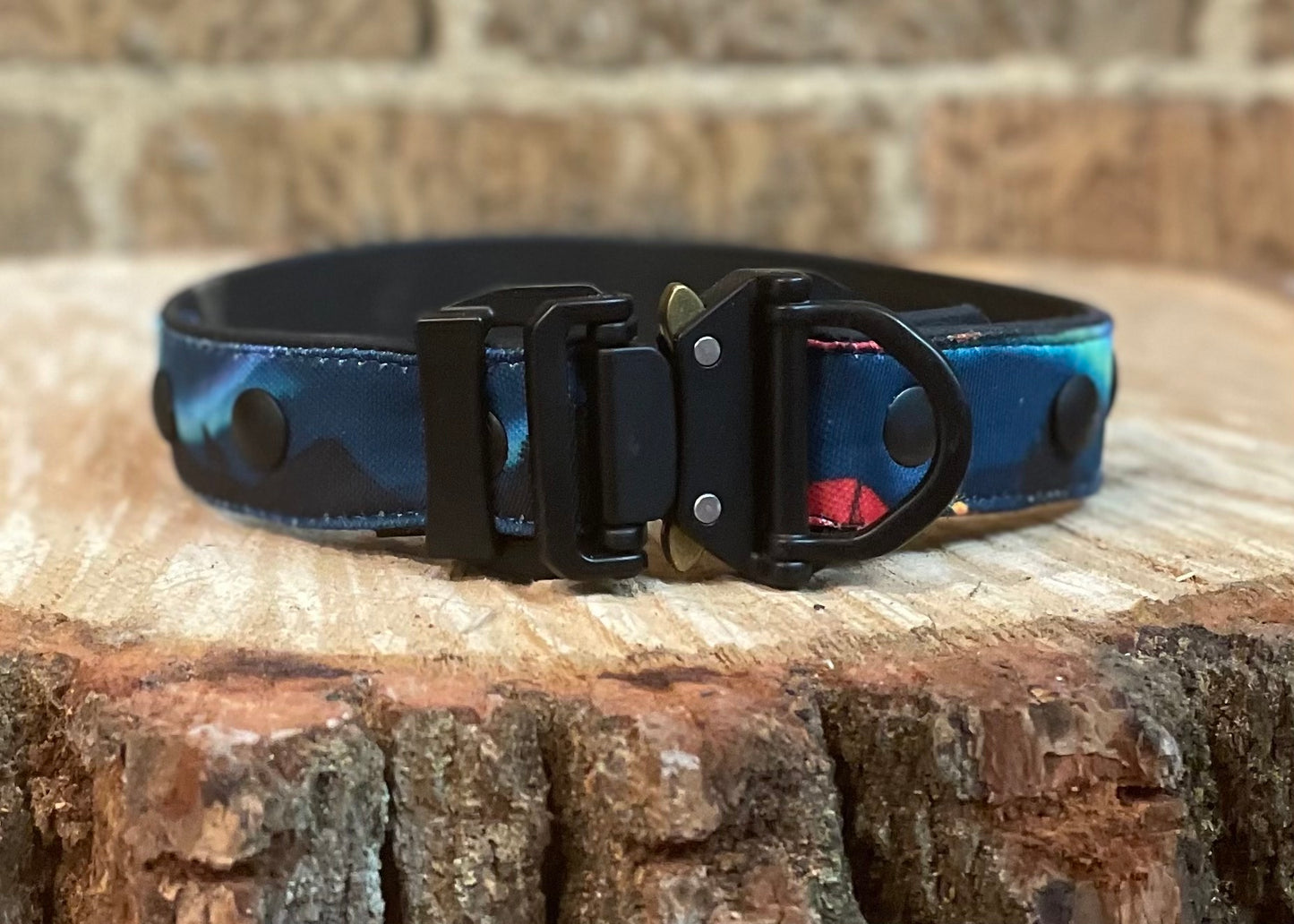 Camping Under Aurora Dog Collar