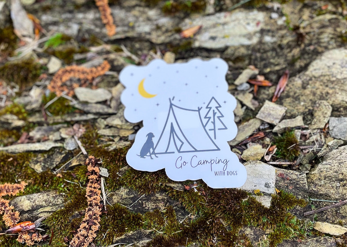 Go Camping (with dogs)