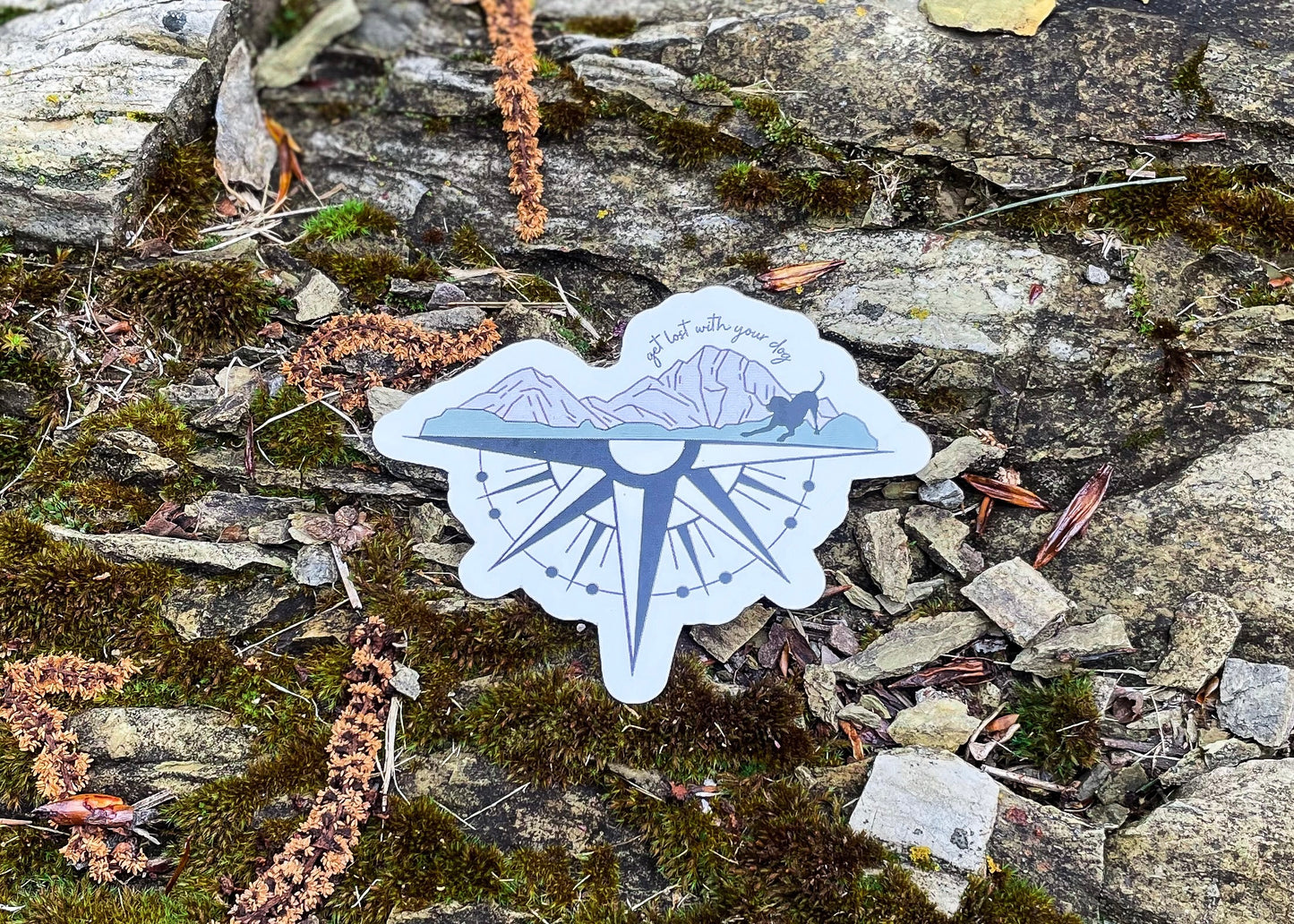 Compass