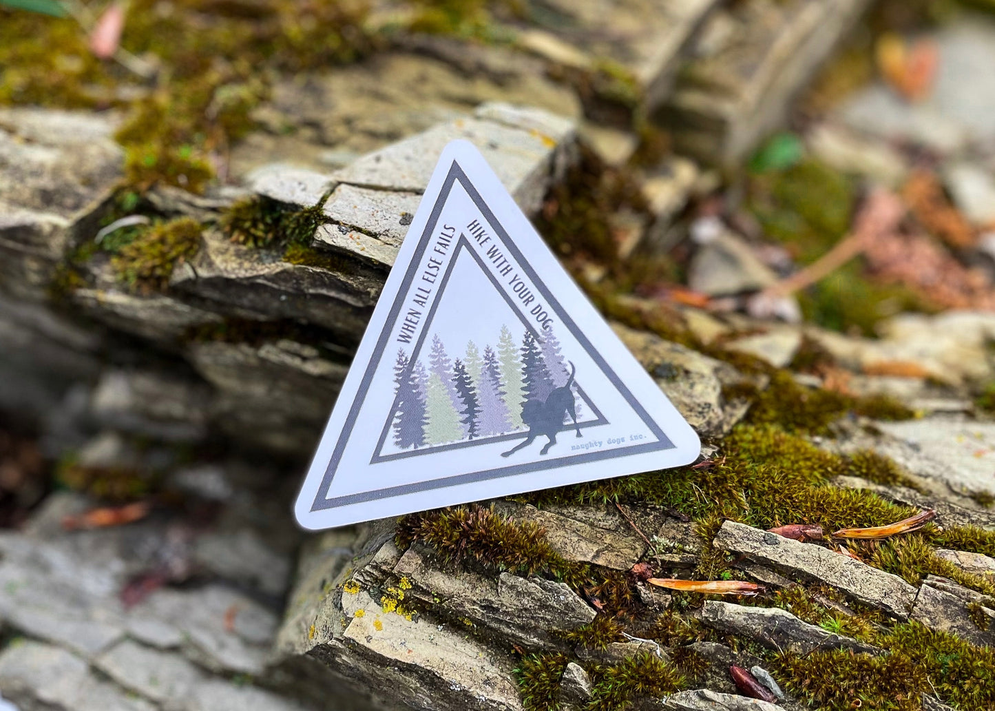 Hike with your Dog