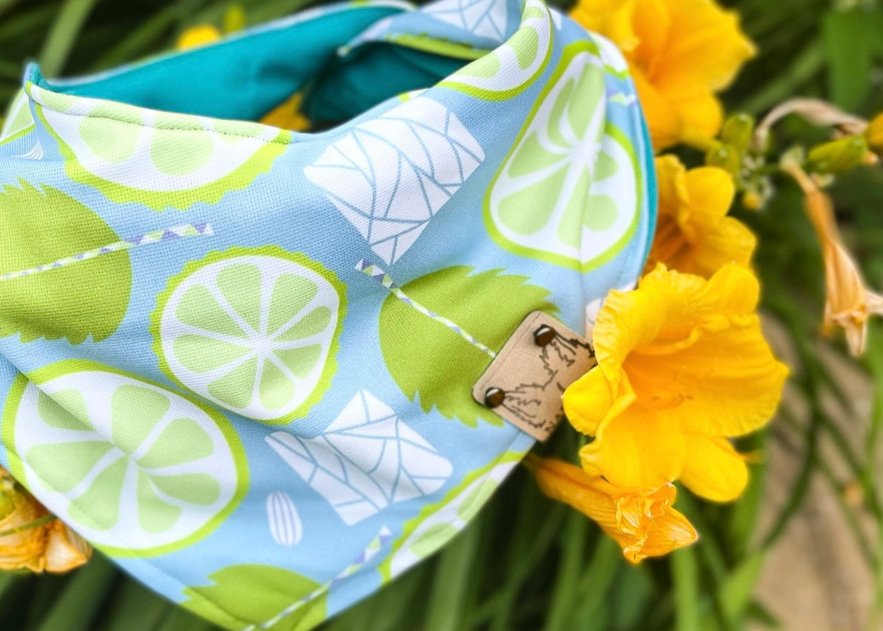 Mojito Time Bandana