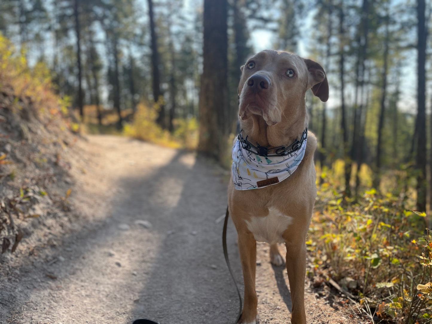 Mountain Life Bandana
