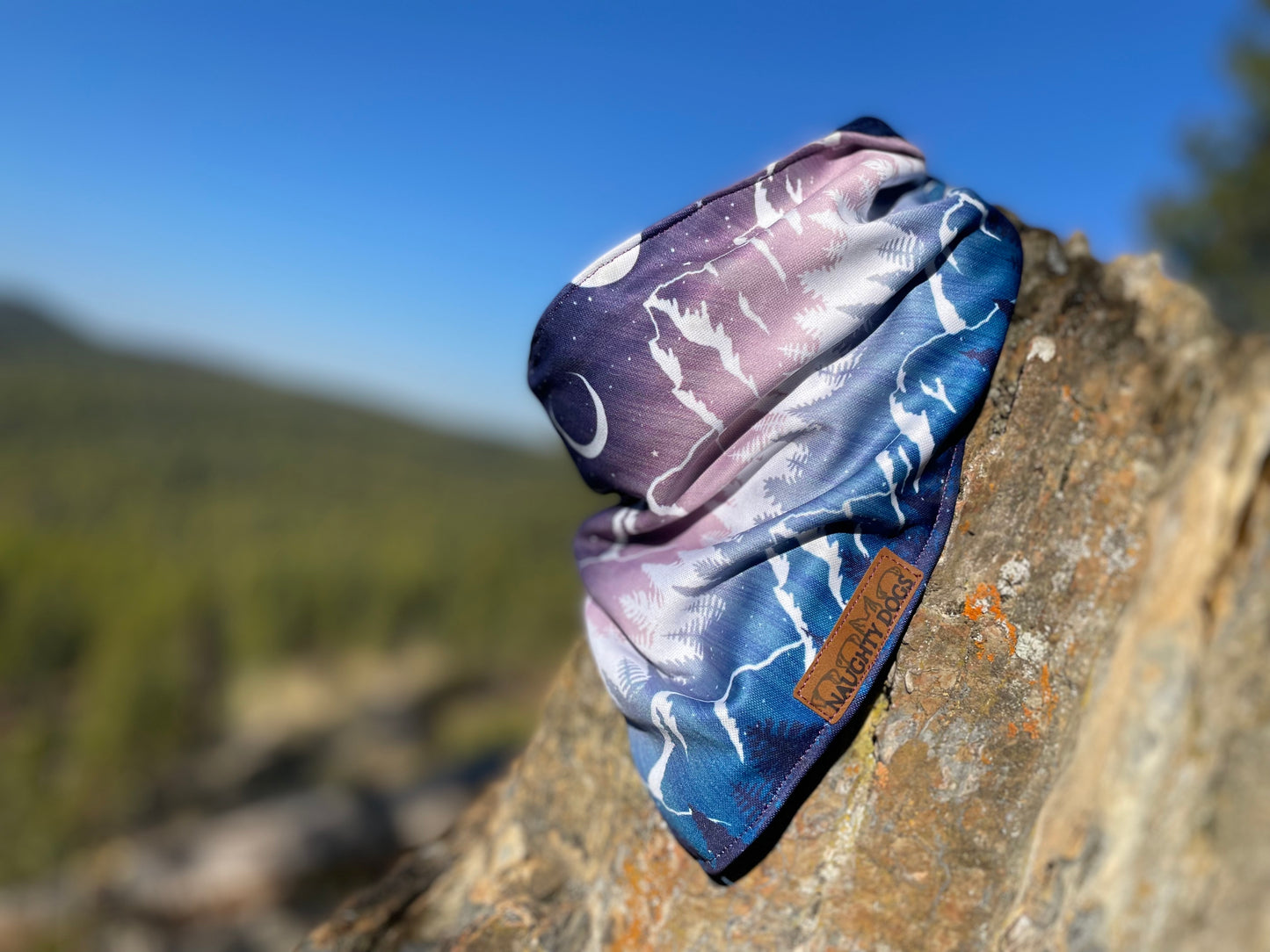 Winter Solstice Bandana