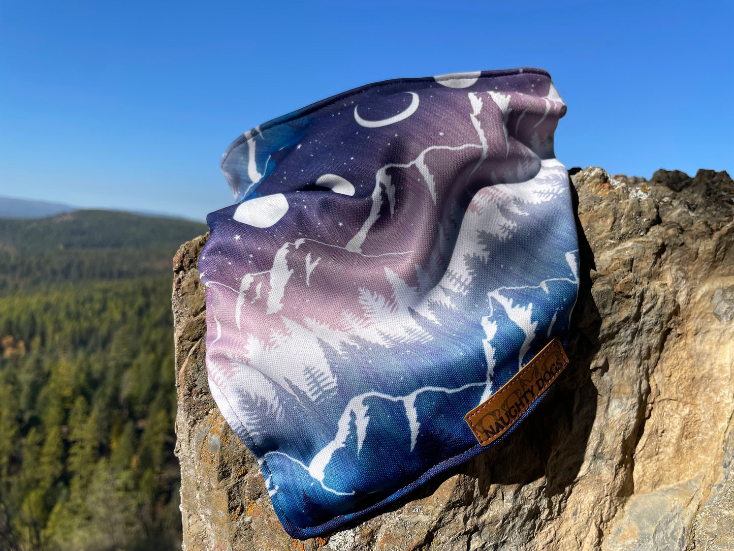 Winter Solstice Bandana