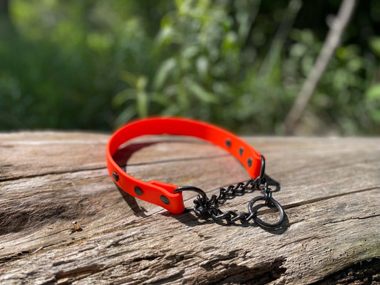 High Visibility Dog Collar