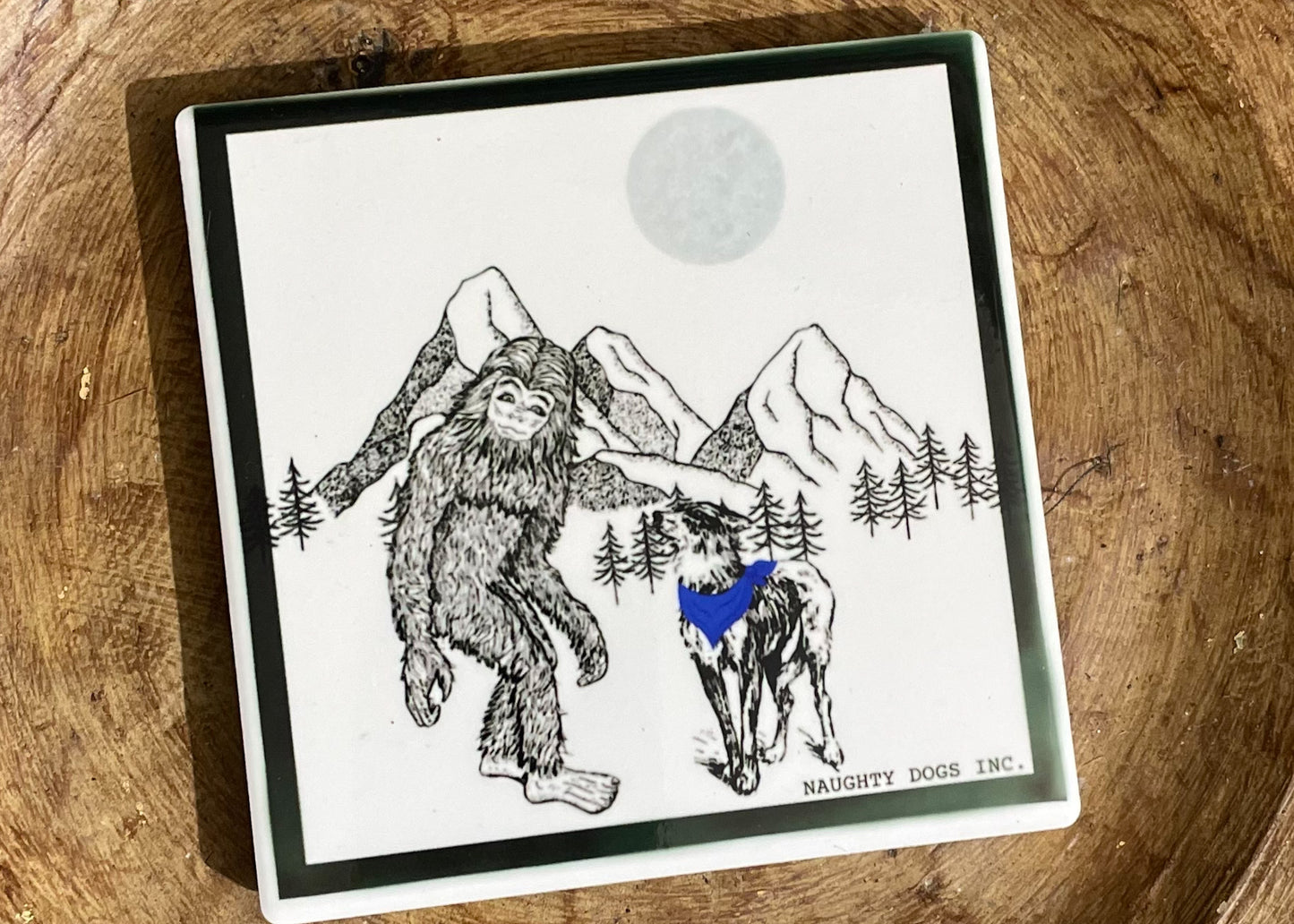 Coaster/Magnets