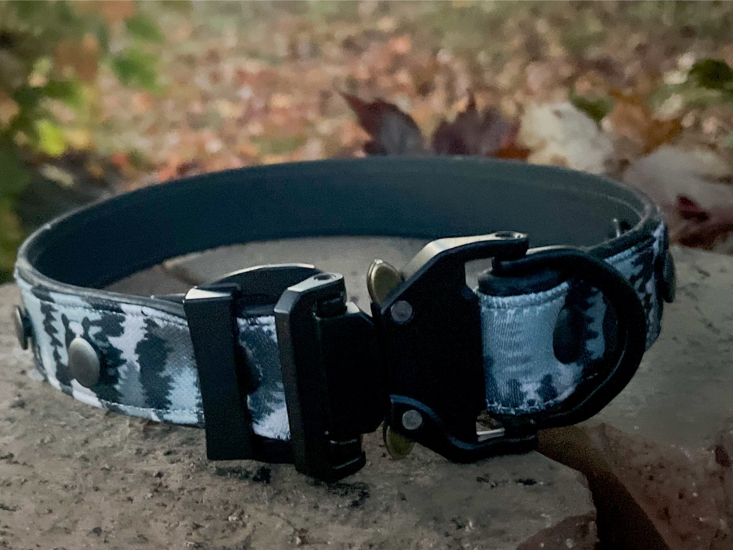 Peek-A-Boo Bears Dog Collar