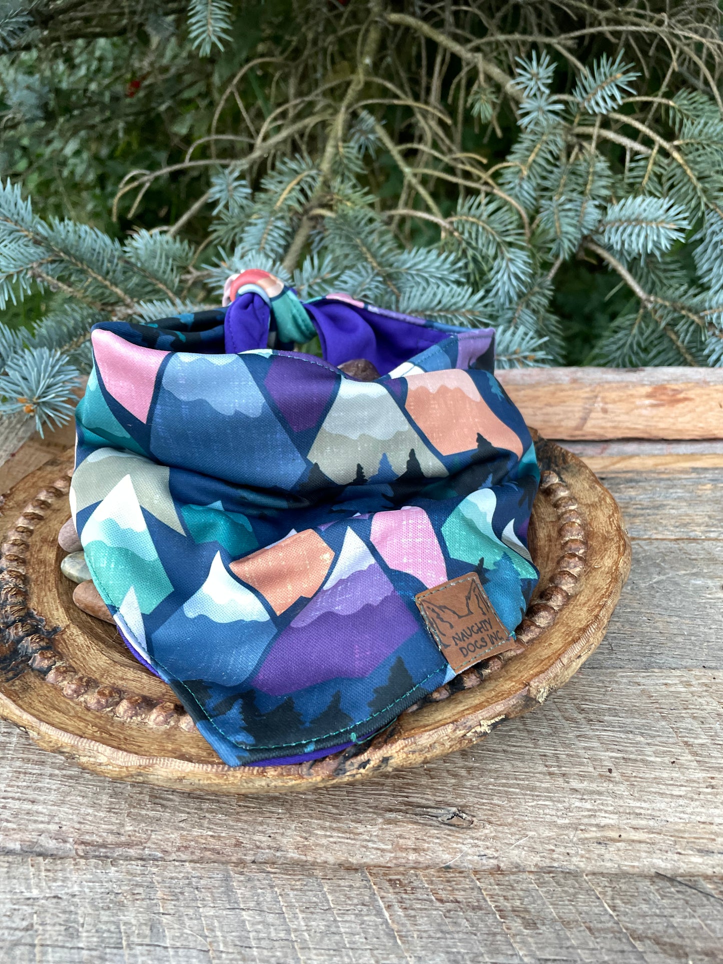 Morning Glory Bandana