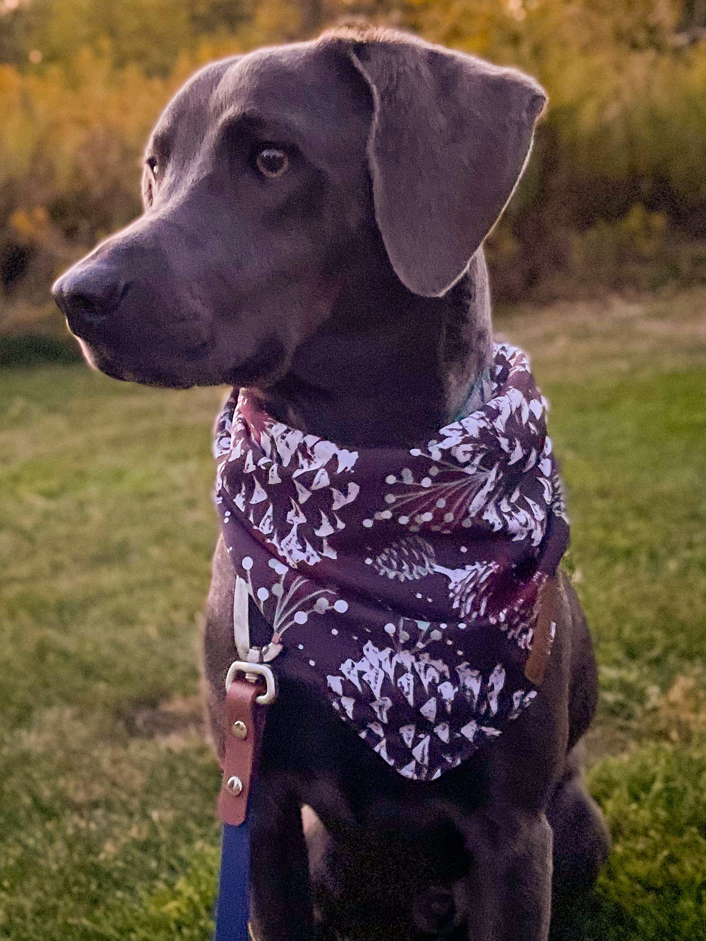 Winterfest Bandana