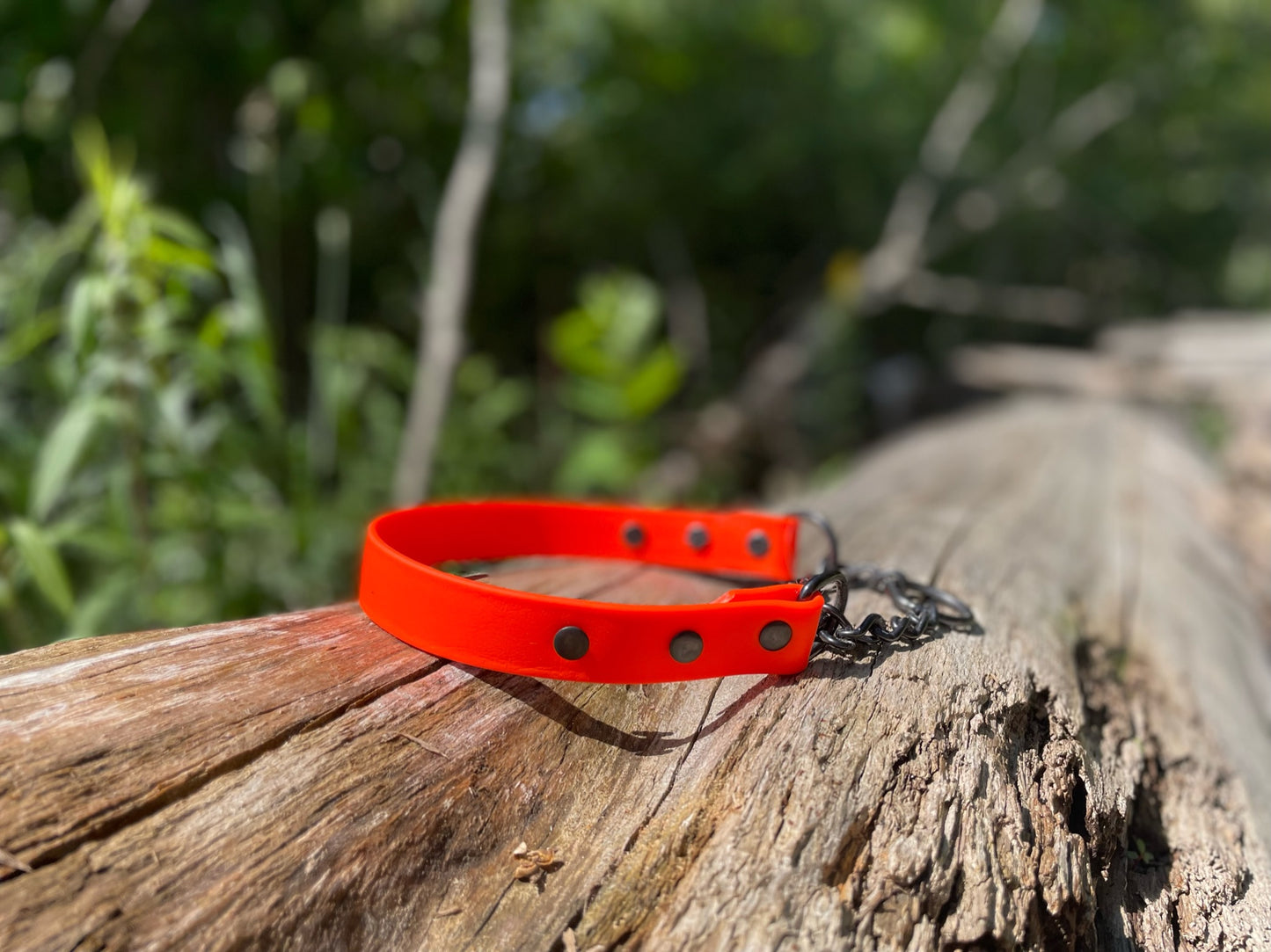 High Visibility Dog Collar