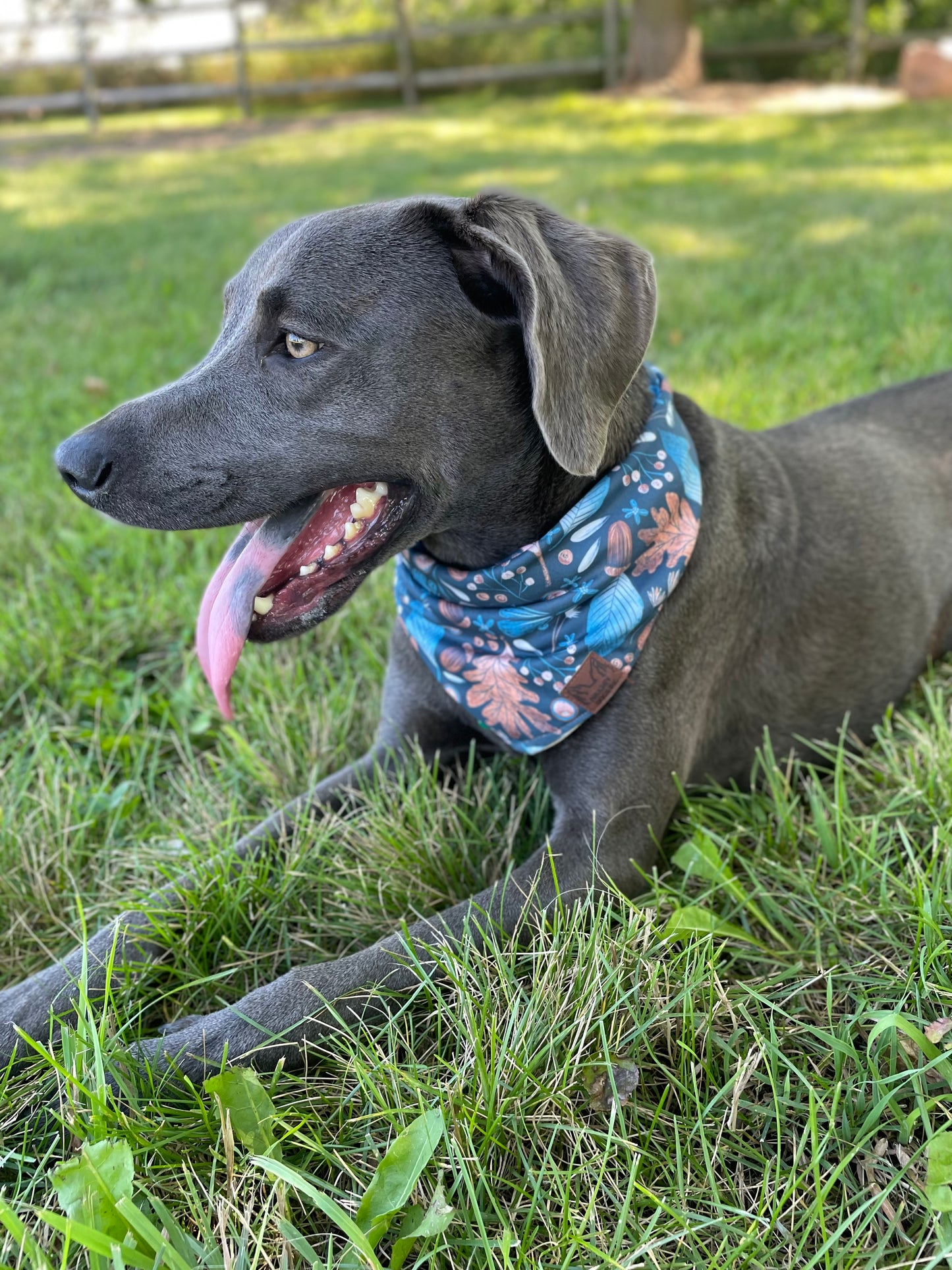 Fall in Love Bandana
