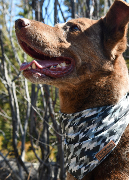 Pee-A-Boo Bears Bandana