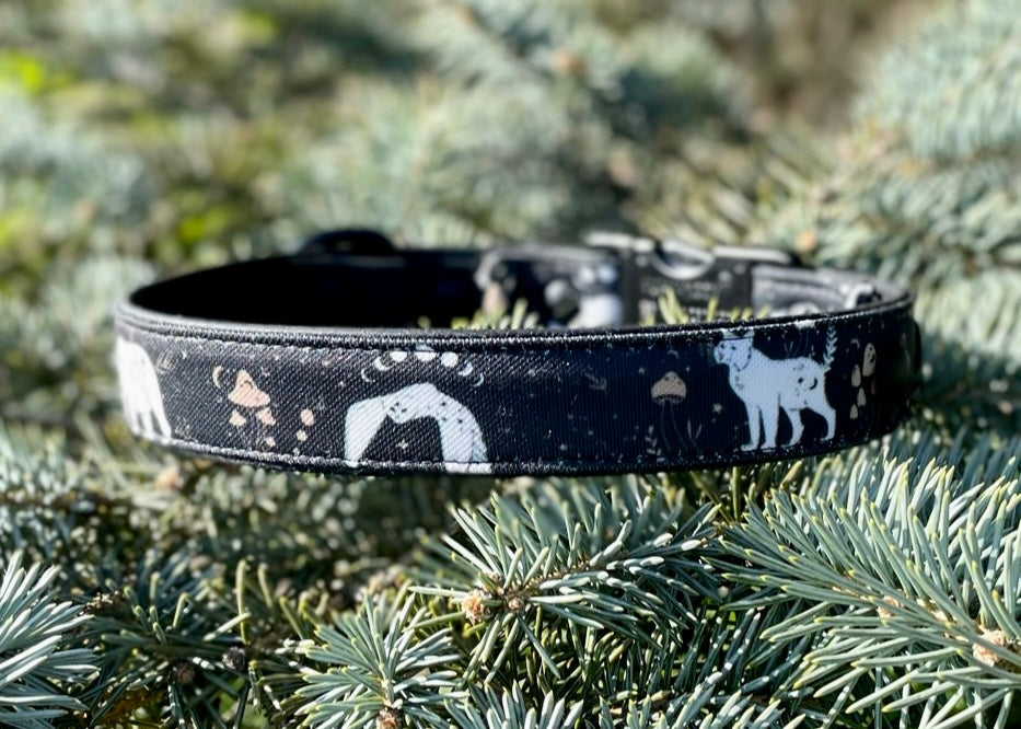 Moonlight Creatures Dog Collar